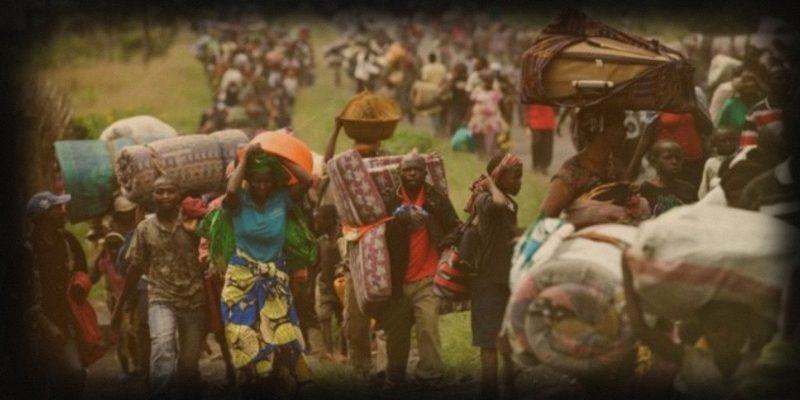 rdc-guerre-congo-slides (9)